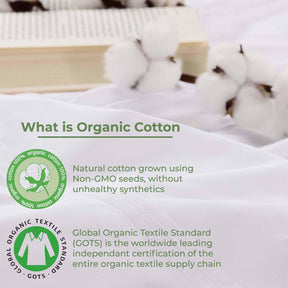 Organic Cotton 300 Thread Count Percale Extra Deep Pocket Sheet Set