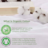 Organic Cotton 300 Thread Count Percale Extra Deep Pocket Sheet Set