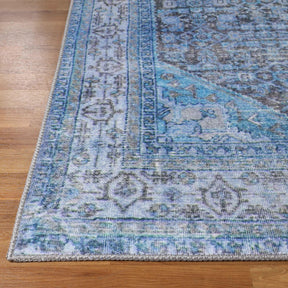Traditional Oriental Medallion Indoor Area Rug Or Runner Rug