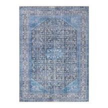 Traditional Oriental Medallion Indoor Area Rug Or Runner Rug