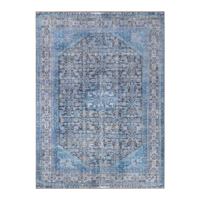Traditional Oriental Medallion Indoor Area Rug Or Runner Rug