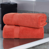 Zero-Twist Cotton Solid Soft Absorbent 2 Piece Bath Sheet Set